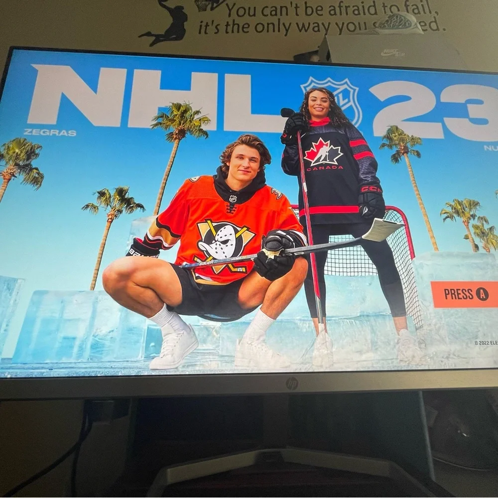 HP MONITOR